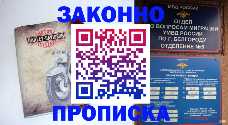 прописка для школы в Киришах